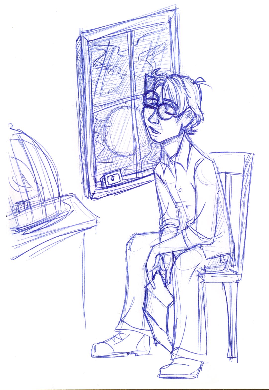 Harry falls asleep at the window, waiting to see if Dumbledore will indeed appear in Surrey